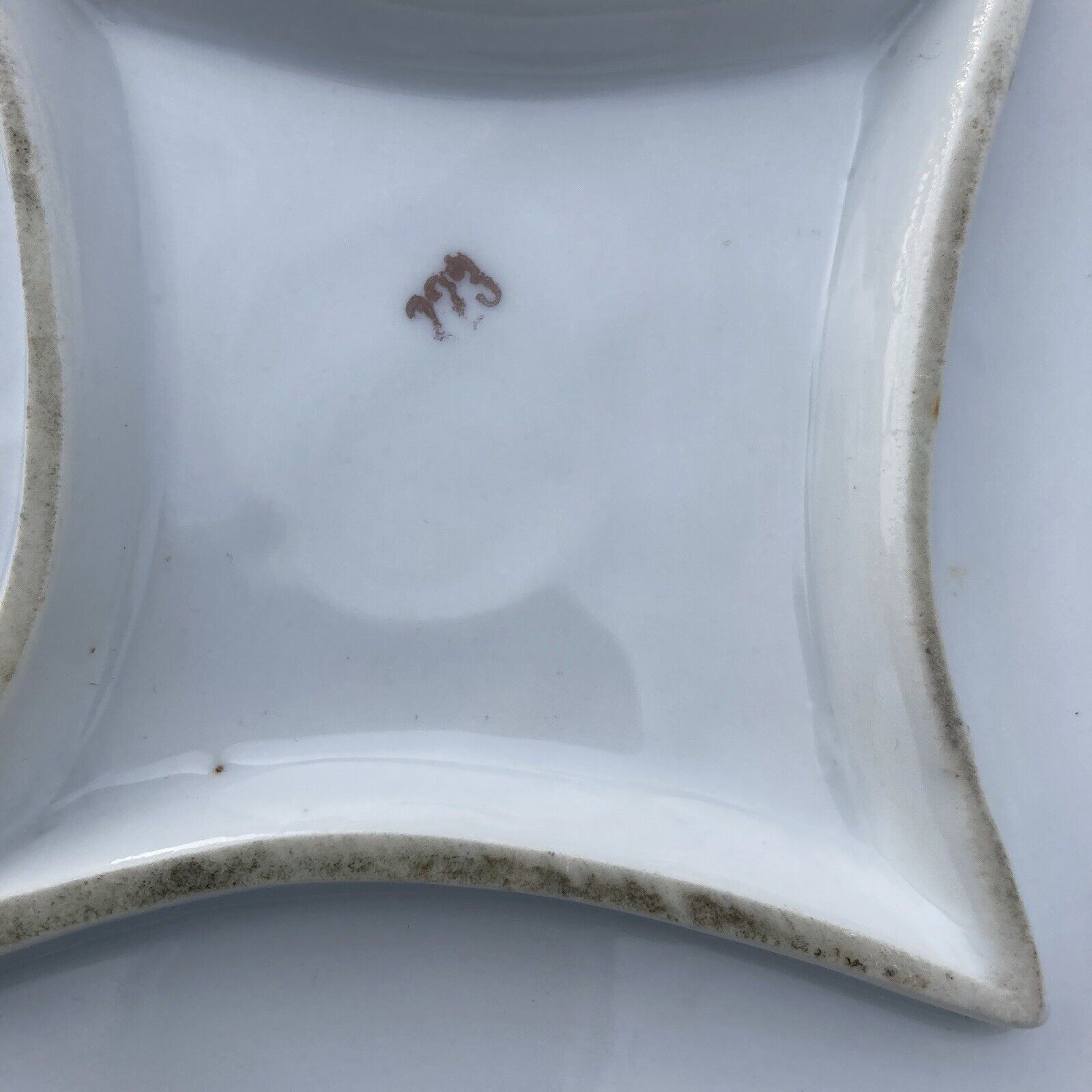 Victorian 1800s Floral Porcelain Serving Plate