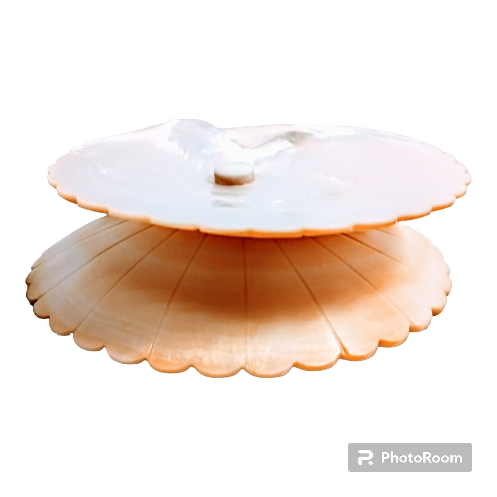 Victorian Art Nouveau Carved Seashell Dish