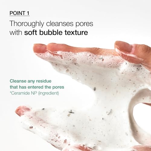 ANUA Heartleaf Quercetinol Pore Cleansing Foam, Facial Cleanser