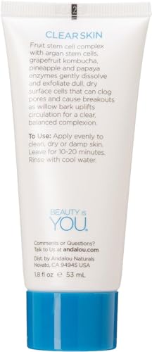 Andalou Naturals Kombucha Enzyme Peel, 1.8 Oz
