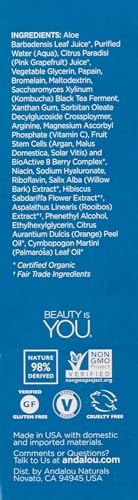 Andalou Naturals Kombucha Enzyme Peel, 1.8 Oz