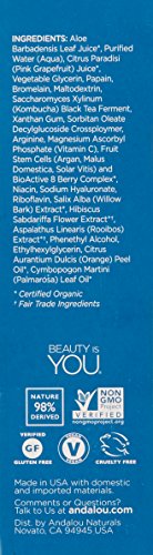 Andalou Naturals Kombucha Enzyme Peel, 1.8 Oz