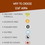 Leaf Aura Daily Skin Care Combo for All