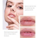 6 Pack Natural Fruit Flavored Lip Balm