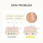 LAIKOU Travel Size Skin Care Set for Women