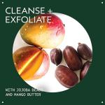 Aveda Botanical Kinetics Exfoliating Cleanser, 5 Fl Oz
