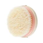 EcoTools Dry Body Brush for Exfoliation and Circulation