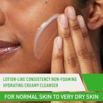 CeraVe Hydrating Facial Cleanser for Dry Skin