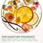 Purifying Scalp Concentrate Exfoliating Pre Shampoo