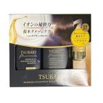 Premium Black Hair Repair Set with Mask