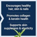 Collagen Plus for Hair, Skin & Nails