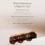 True Botanicals Phyto Retinol Anti-Aging Cream 1 oz