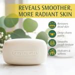 LAVENDER Microdermabrasion Exfoliating Soap Body Bar, 8 oz