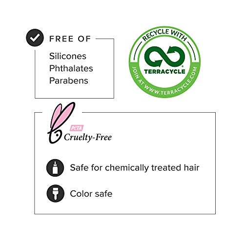 Dry Scalp Treatment for Healthy Hair Care