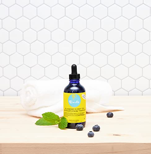 Blueberry Mint Scalp Treatment for Healthy Hair