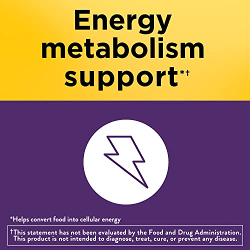 Biotin Hair, Skin & Nails Support Supplement, 120 Softgels