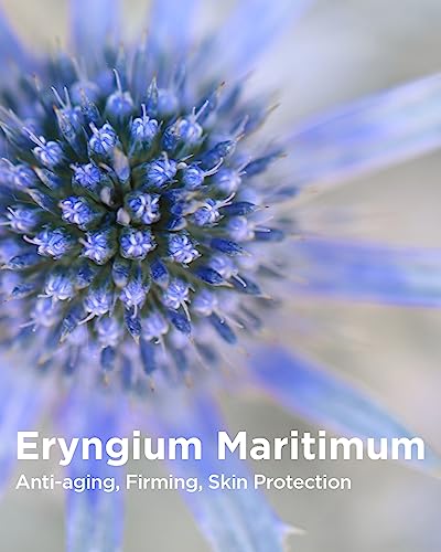 THESAEM Facial Soft Peeling Gel - Natural AHA+BHA Korean Enzyme Exfoliating Scrub for Dead Skin Cells, Face Exfoliator, Skin Turnover, Cell Renew Bio Micro Peel Soft Gel, 5.41 fl.oz.