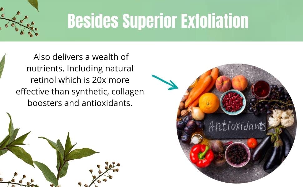 BioZyme-Enzyme Peel-Chemical Peel Results Without The Chemicals. Contains No Glycolic Or Lactic Acid, It Doesn’t Need Any-It’s A Powerful Exfoliator Using Only Natural Ingredients-For Face And Body.