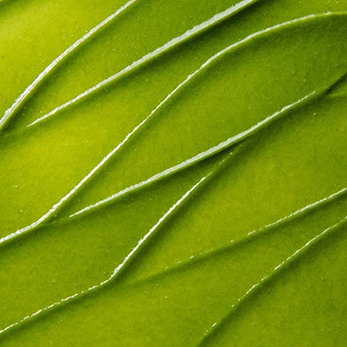 Kate Somerville ExfoliKate Intensive Scrub for Pores