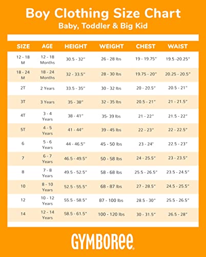 Bunny Scooter Toddler Embroidered Graphic Tee