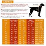 Cute Cotton Dog T-Shirts - Blue & Red Duo