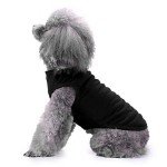 Funny Dog T-Shirts for Small to Large Dogs