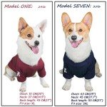 Cute Cotton Dog T-Shirts - Blue & Red Duo