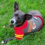 NFL Kansas City Chiefs Pet Hoodie - X-Small