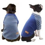 Blue Velvet Dog Shirts for Small Dogs (2 Pack)