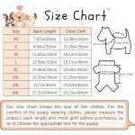 Cute Cotton Dog T-Shirts - Summer Pastels 3-Pack