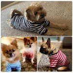 Colorful Striped T-Shirts for Small Dogs