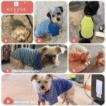 Blue Velvet Dog Shirts for Small Dogs (2 Pack)