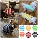 Colorful Striped T-Shirts for Small Dogs