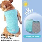 Reflective Dog Tank Tops for Small Dogs - 2 Pack