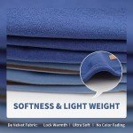 Blue Velvet Dog Shirts for Small Dogs (2 Pack)