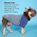 Blue Velvet Dog Shirts for Small Dogs (2 Pack)