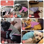 Reflective Dog Tank Tops for Small Dogs - 2 Pack