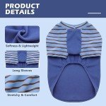 Blue Velvet Dog Shirts for Small Dogs (2 Pack)