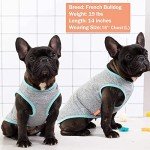 Reflective Dog Tank Tops for Small Dogs - 2 Pack