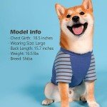 Blue Velvet Dog Shirts for Small Dogs (2 Pack)