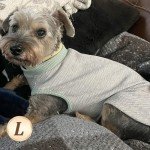 Cute Waffle Dog T-Shirts with Pocket - 2 Pack