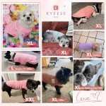 2-Pack Striped Cotton Dog T-Shirts for Small Dogs