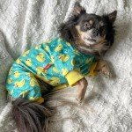 Soft Dog Onesie with Yellow Ducks Design