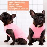 2-Pack Striped Cotton Dog T-Shirts for Small Dogs