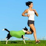 8-Pack Soft Dog T-Shirts for Pets