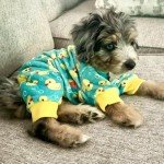 Soft Dog Onesie with Yellow Ducks Design
