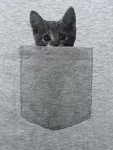 Funny Cat Pocket T-Shirt for Men