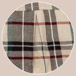 Cute Plaid Polo Shirt for Small Dogs