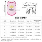 Cute Summer T-Shirts for Small Dogs & Cats