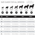 Organic Cotton Dog T-Shirt - Gray Ombre 3-Pack